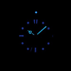 Invicta Pro Diver 30484