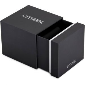 Citizen AT2480-81E Citizen AT2480-81E