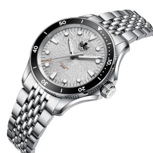 PHOIBOS Delphinus PY055EN Silver White No Date