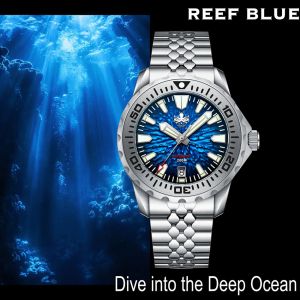 Phoibos Kraken PY059B Reef Blue Phoibos Kraken PY059B Reef Blue